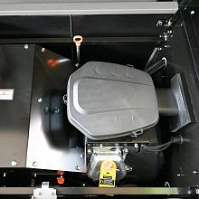 Генератор газовый EVOline GNG 19000 E — фото 11